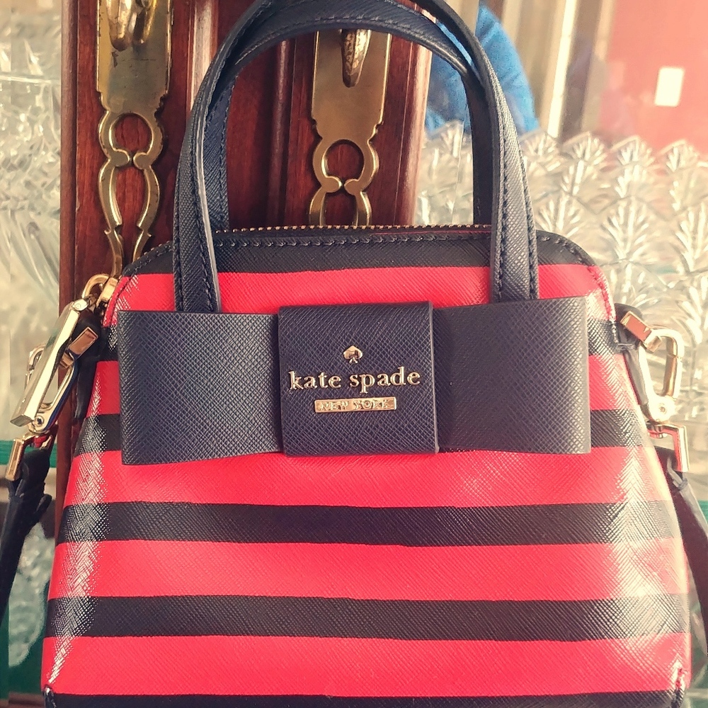 Kate Spade Julia Street Striped Mini Maise